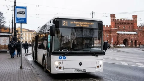🚌 Автобусы в Калининграде: штрафы не помогают, власти готовят новые меры