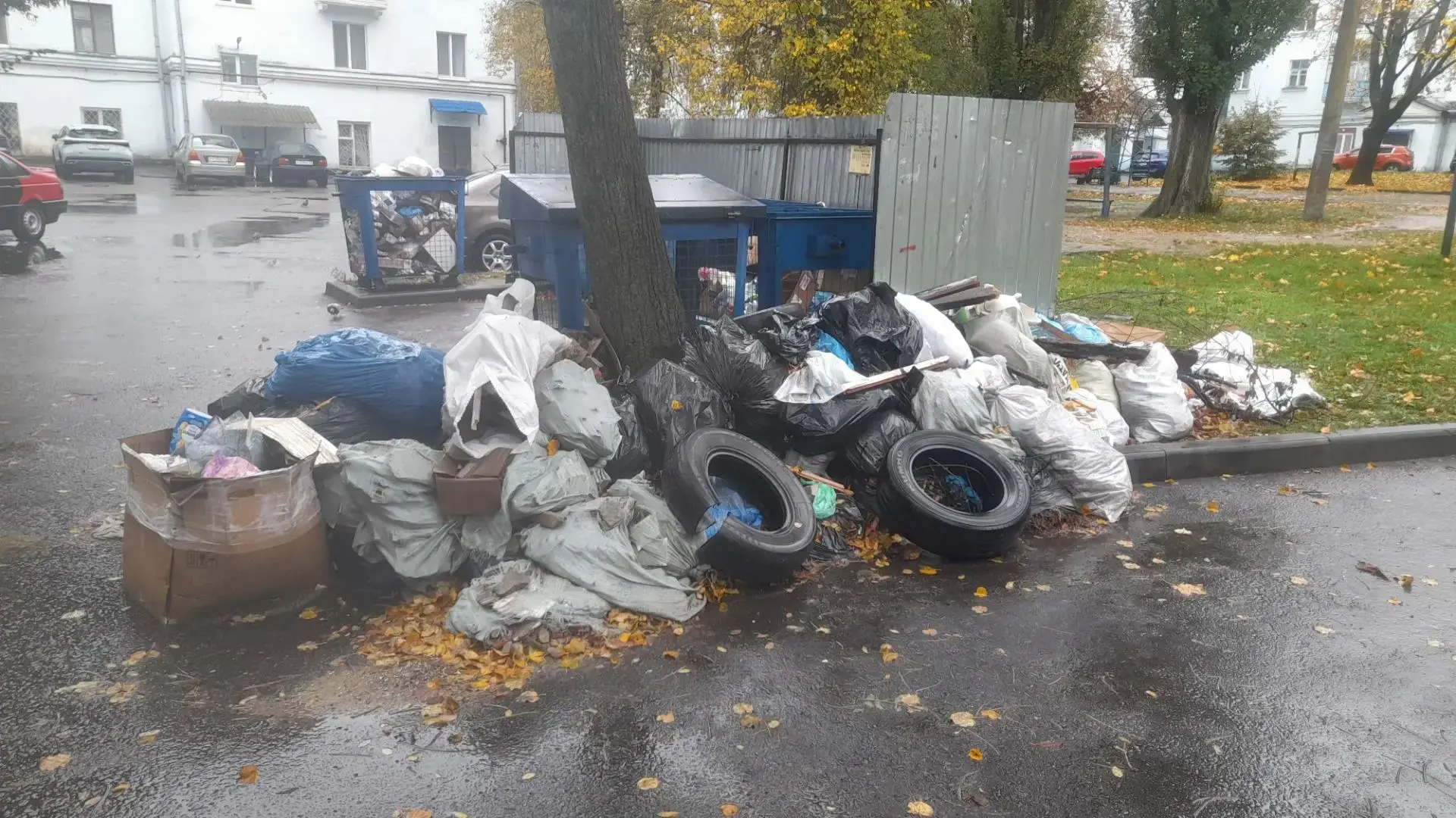 Новозыбков‼