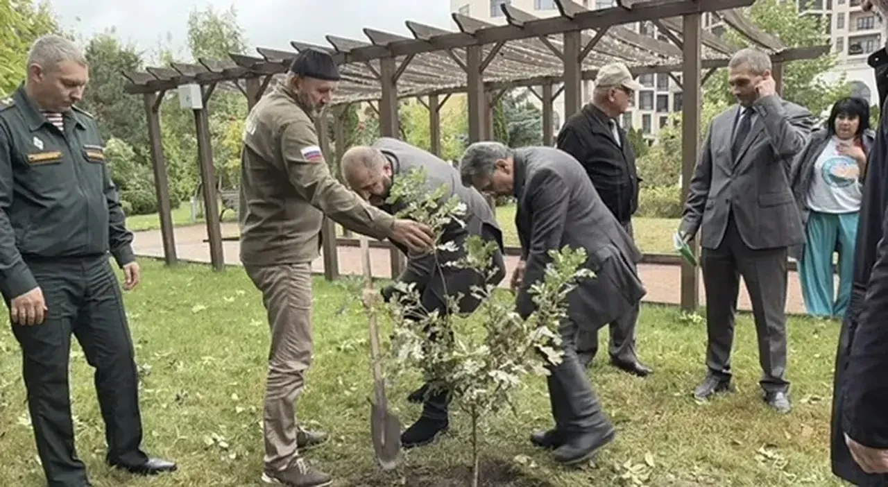 В Кисловодске был посажен дуб в честь героев Битвы за Кавказ. Это дерево должно стать с...