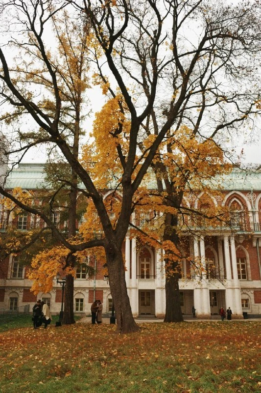 🍁 Погуляем в Царицыно в золотую осень