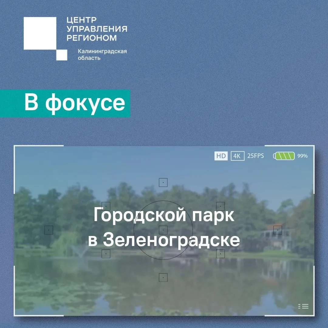 Сегодня в фокусе – городской парк в Зеленоградске.