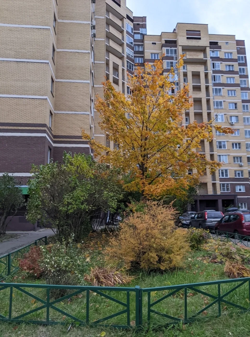 🌤️ Бабье лето решило вернуться: в Подмосковье грядет потепление. По данным синоптиков,...