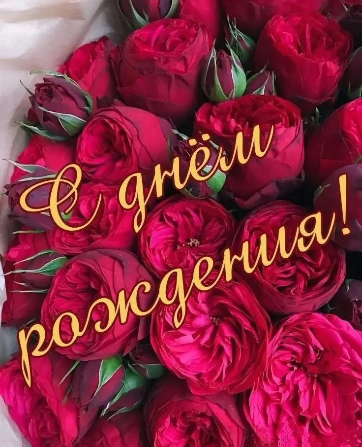 Дорогая Екатерина Анатольевна!