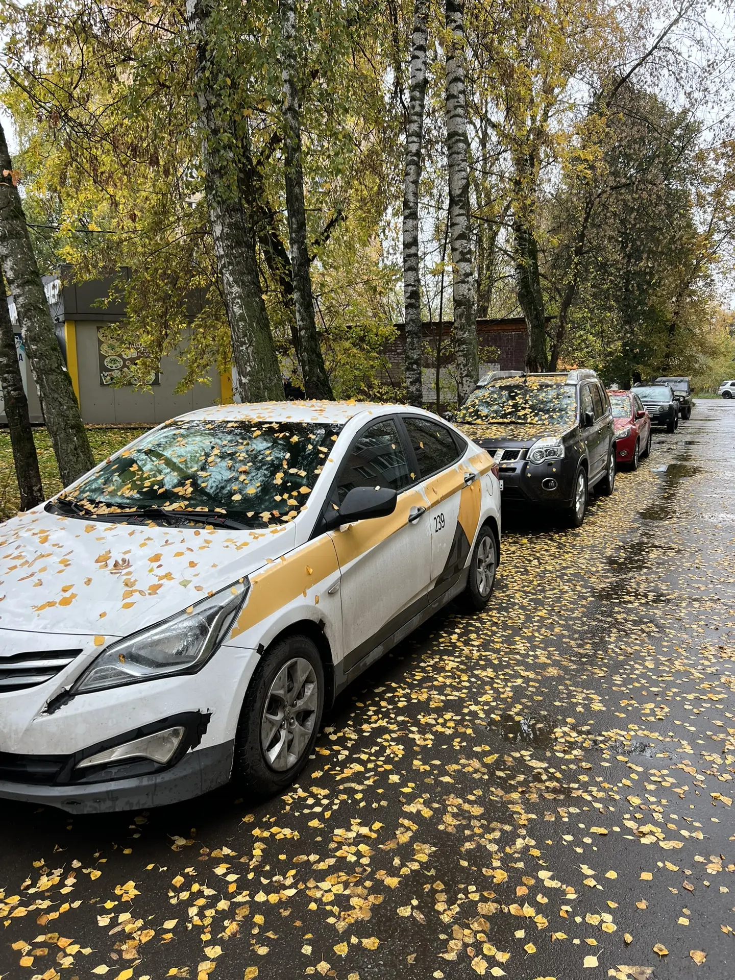 Осень, осень, живописная ты очень 🍁