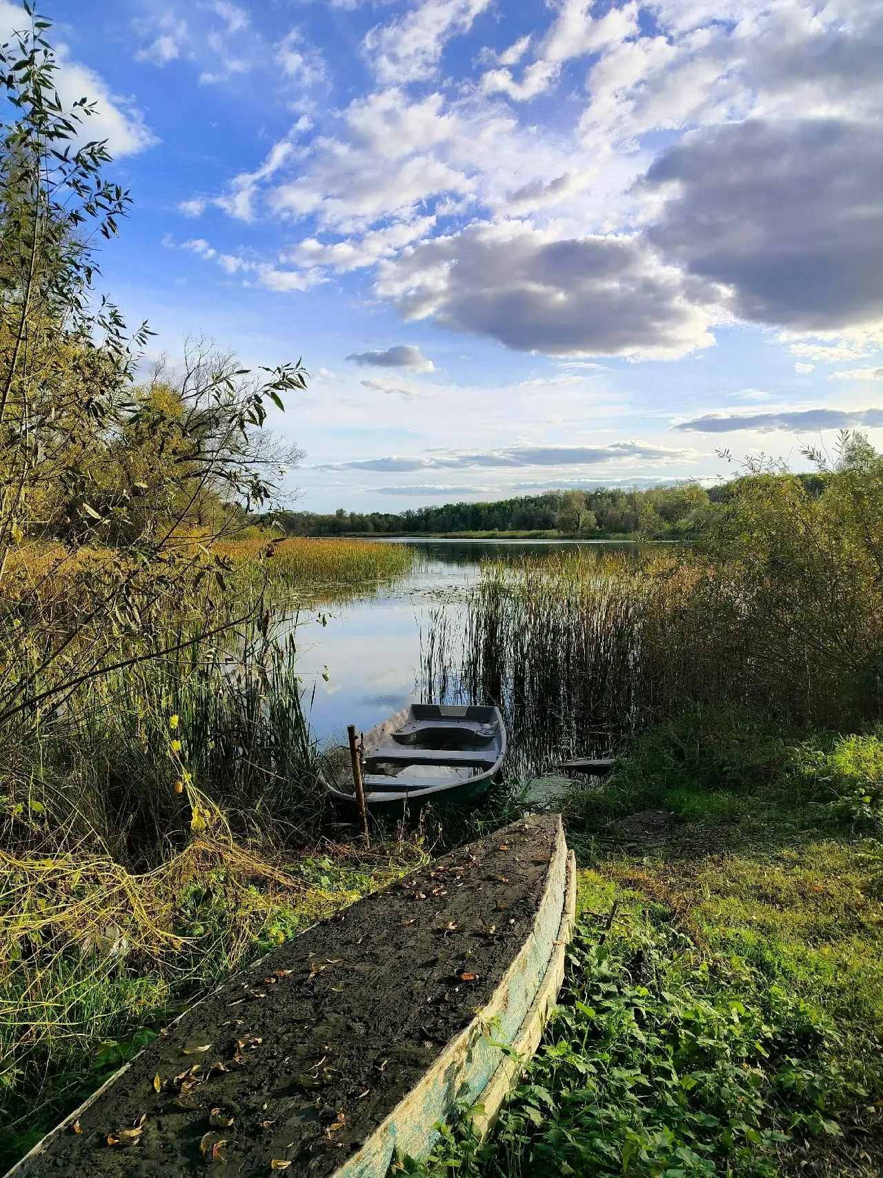 🍂 Осенний вайб