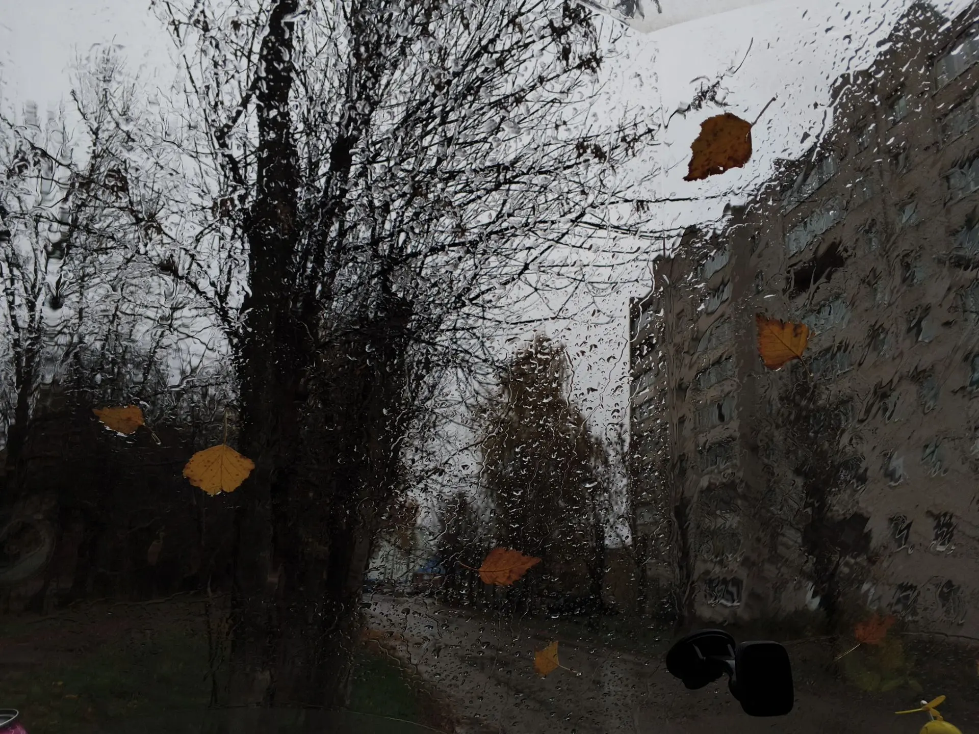 Всем доброго осеннего дождливого утра, пусть этот уютный день наполнится теплом и радос...