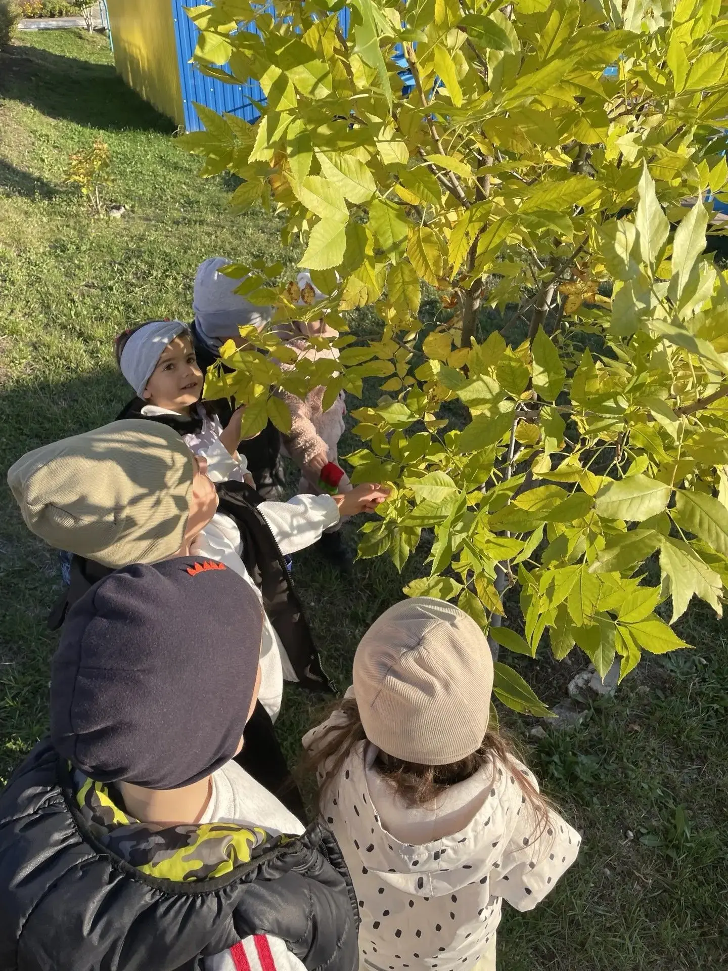 🍁 Осенние открытия группы «Одуванчики»! 🍁Наши юные исследователи отправились в увлека...