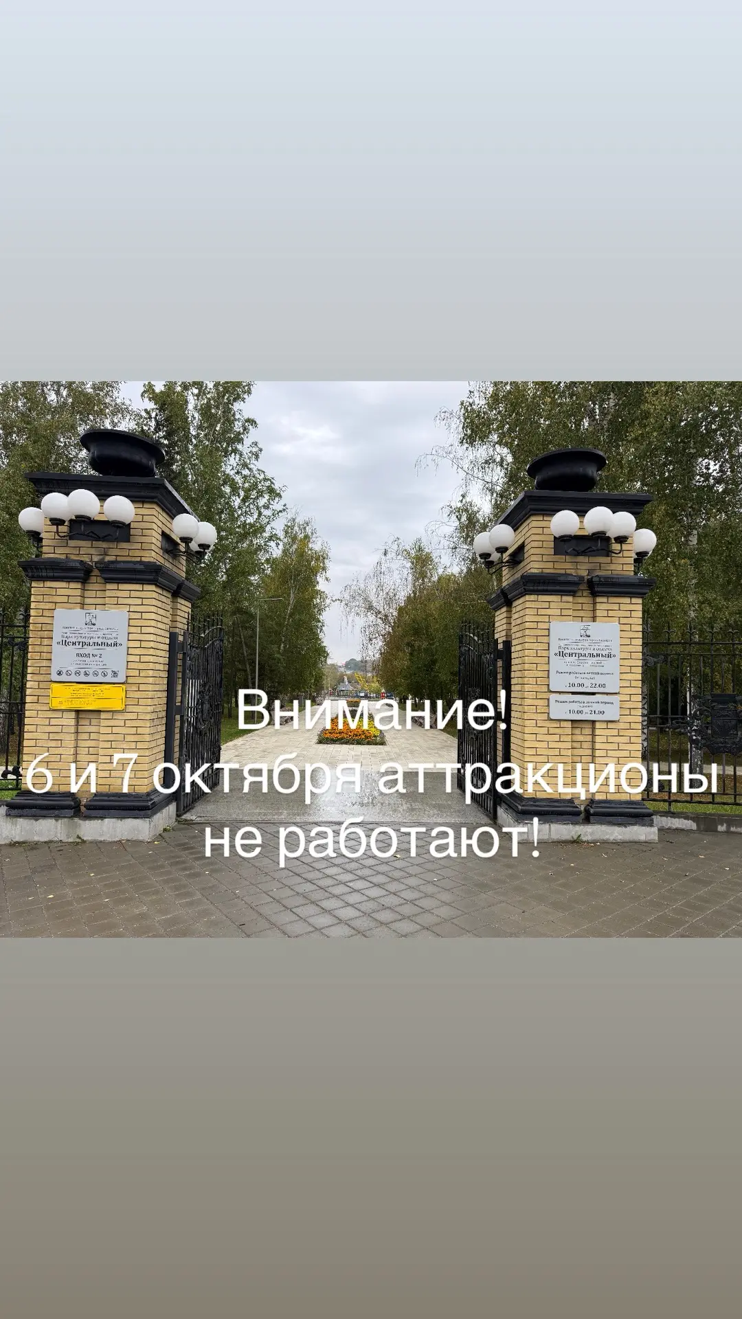 Дорогие друзья!