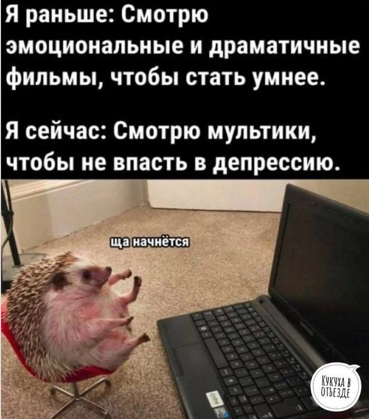 Кукуха в отъезде 🐦