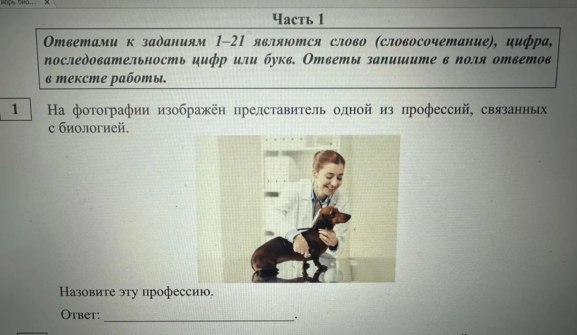 Ещё одно учебное пособие с таксой.😁