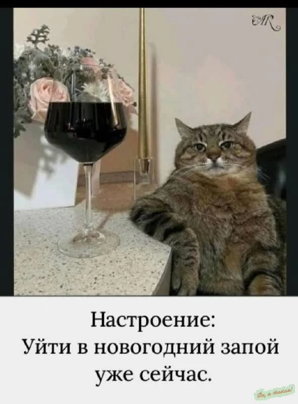 Это точно!💯