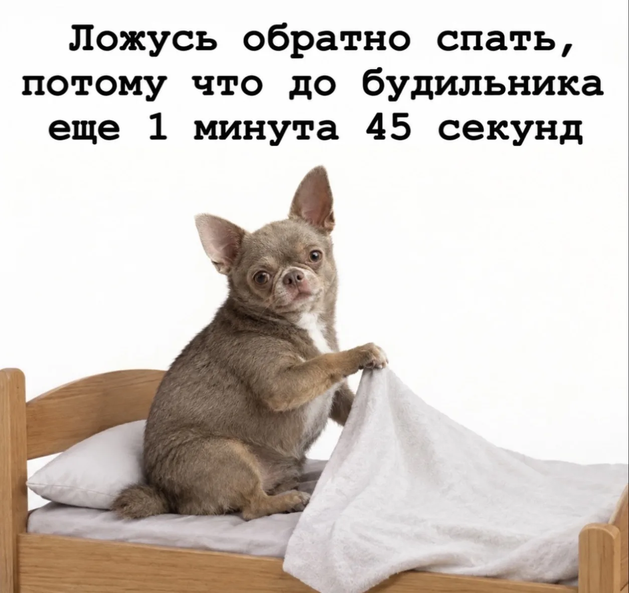 Что это, если не жиза?