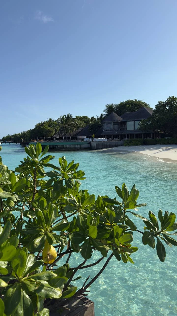 🏝️ Мальдивы в 2027 году — пора планировать райский отпуск! 🌴
