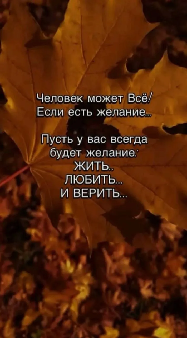 #мысльдня