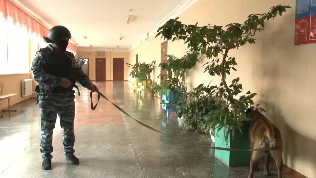 💣 В Семёнове подростка заставили сообщить о минировании школы.