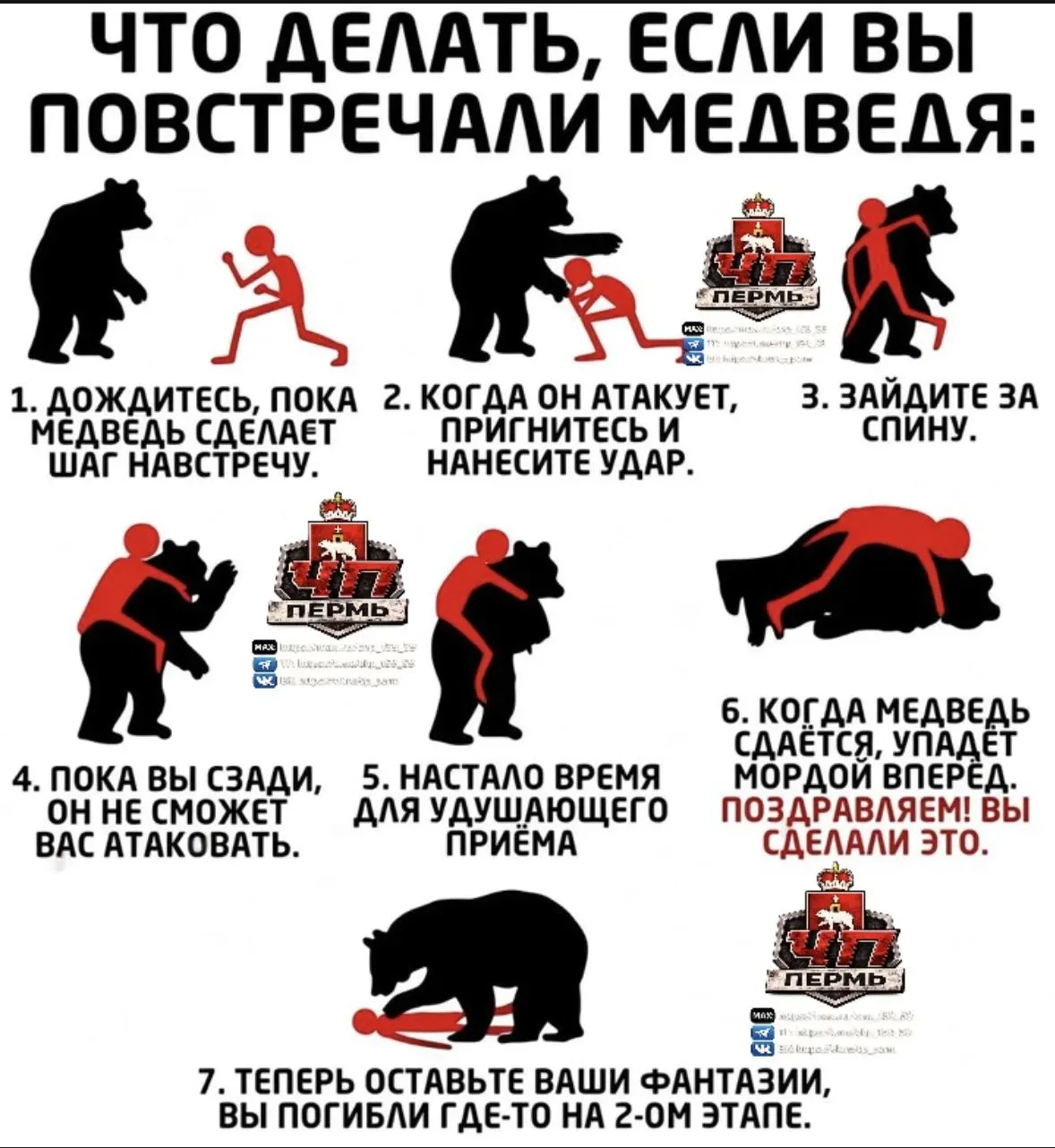 🐻 Жителям Пермского края напомнили, как вести себя при встрече с медведем. В этом году...