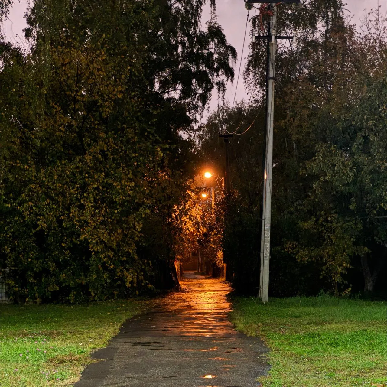 Дождик зарядил ☂️☔️
