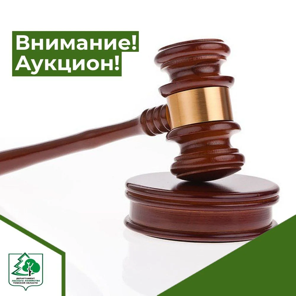 Департамент лесного хозяйства Томской области сообщает о проведение аукциона на право з...