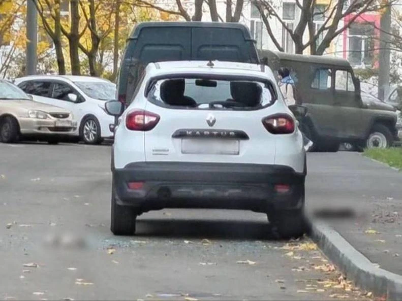 😢 В Москве мужчина выбросил трёх кошек с 20-го этажа