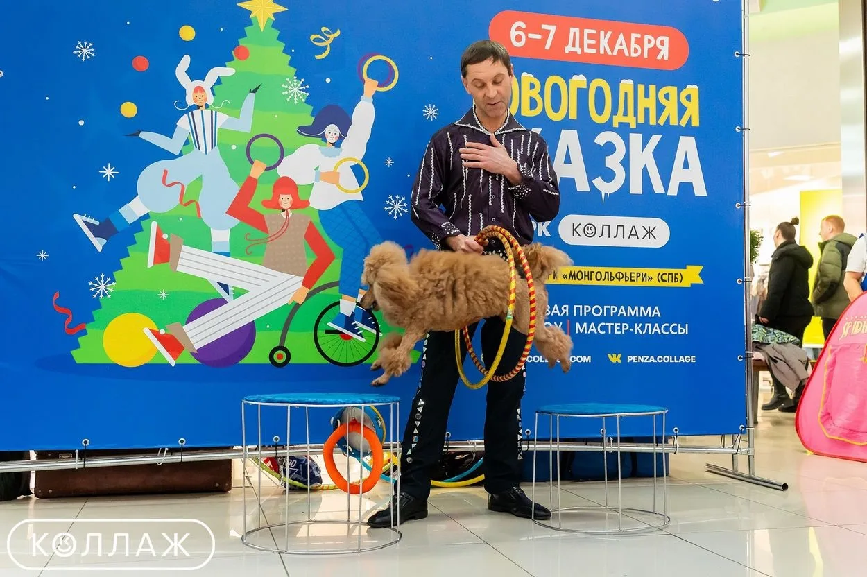 Умнейшие пудели на Фестивале Волшебства 🐩✨