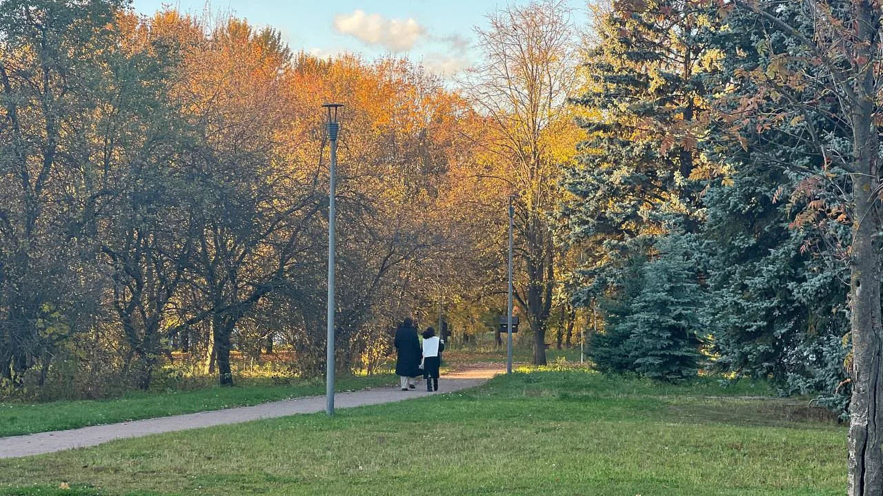 Любуемся осенними кадрами с прогулок по парку ❤