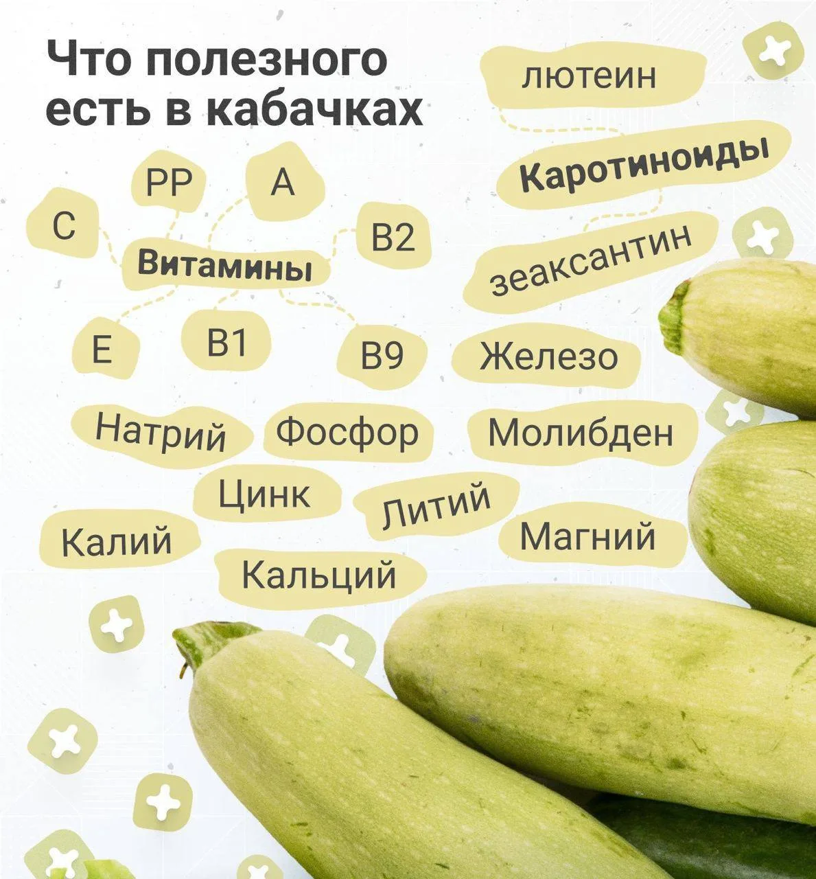 Польза кабачков
