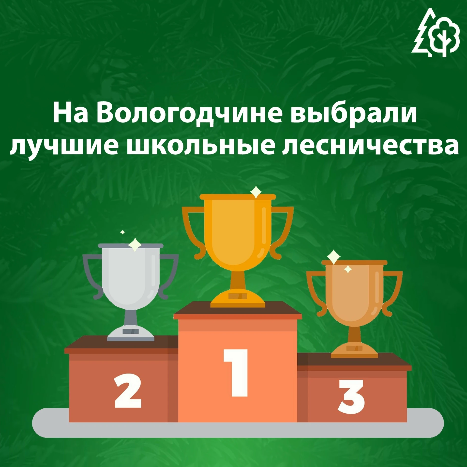 На Вологодчине выбрали лучшие школьные лесничества