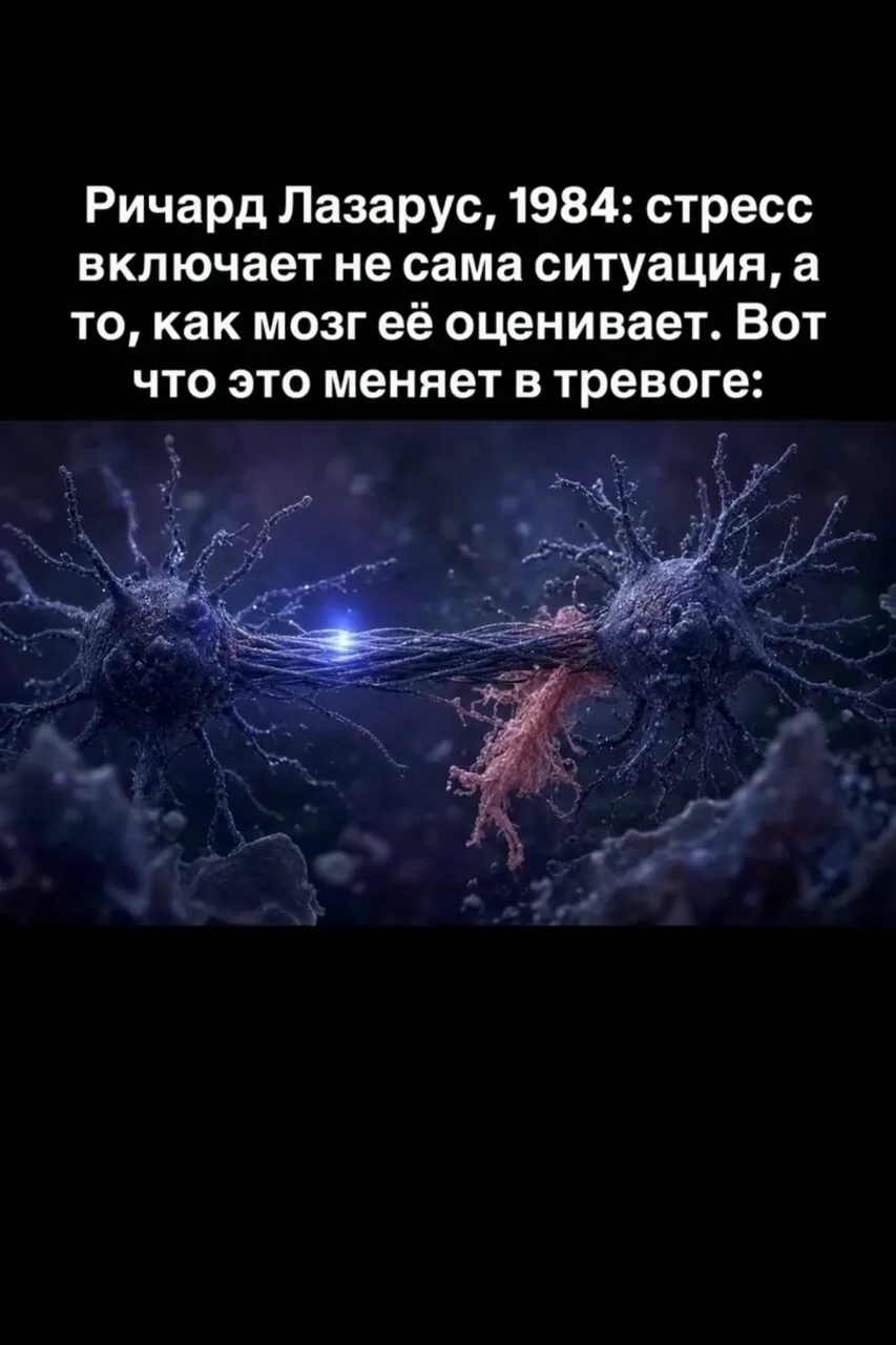 Одно и то же письмо от начальника. Один открывает его спокойно, у другого холодеет живо...