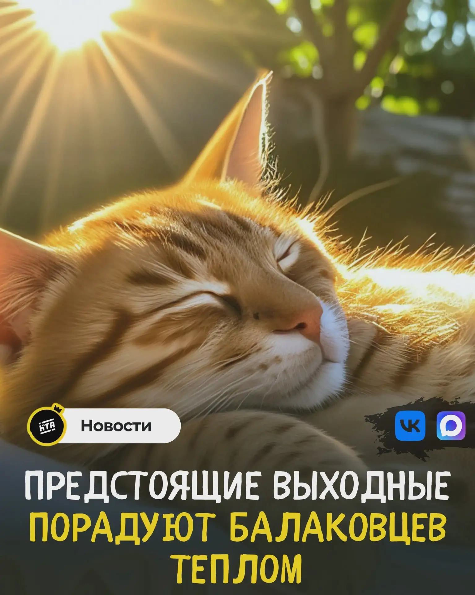 🌤 Погода в области на выходные и понедельник