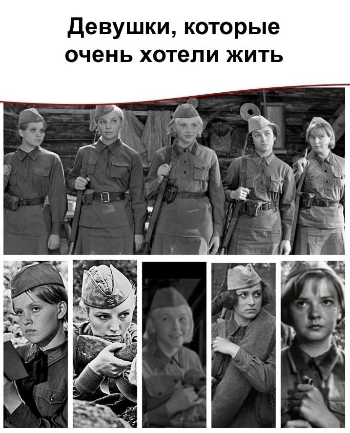 "А зори здесь тихие"- фильм, за который берет гордость! ❤️