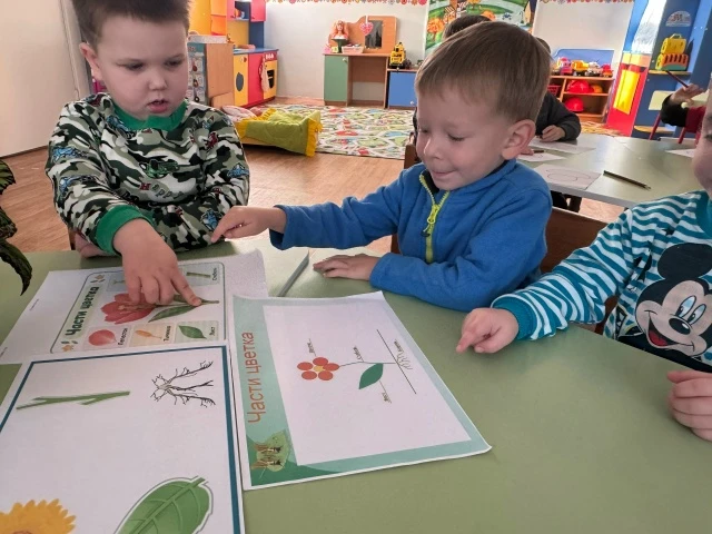 В рамках проекта «Зелёная планета. Путешествие в мир растений» ребята из группы «Антошк...