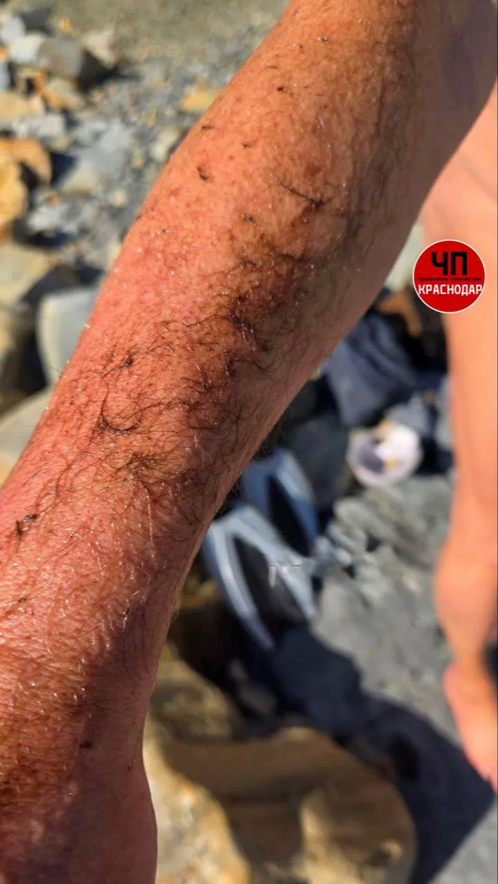 🛢 Птиц в мазуте и чёрные пятна в море обнаружили на пляжах Абрау-Дюрсо
