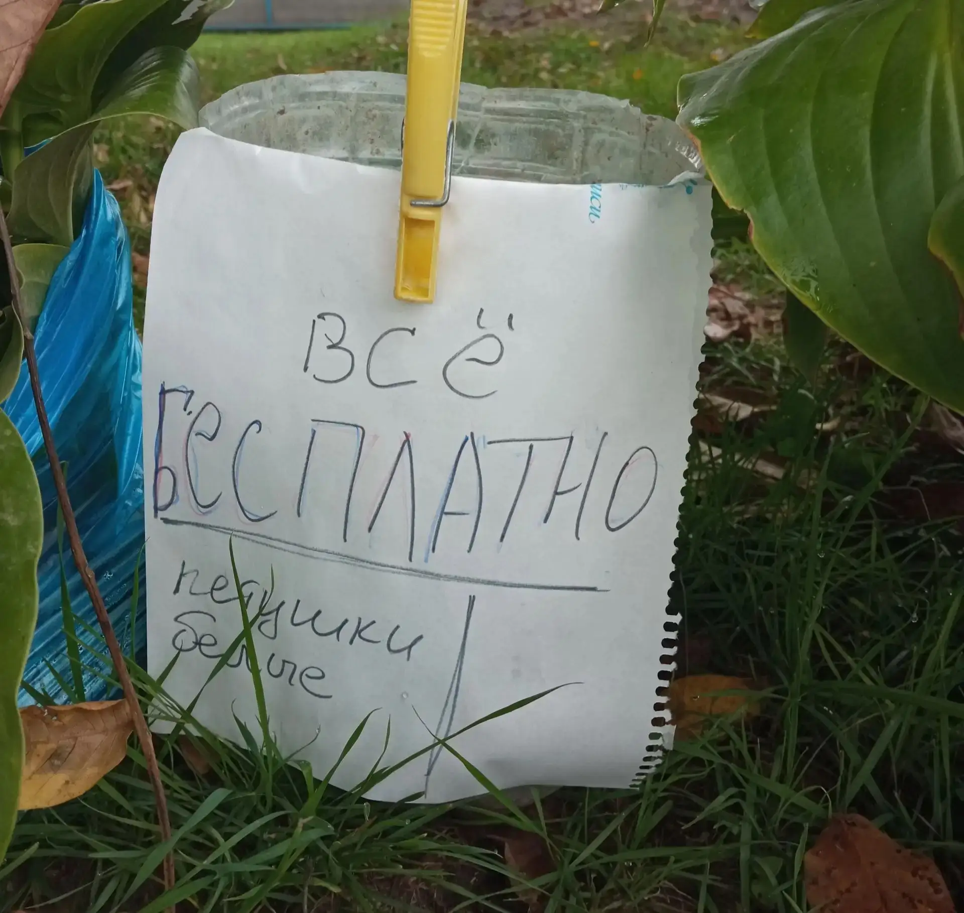 Отдам, Продольная 81, за двором.