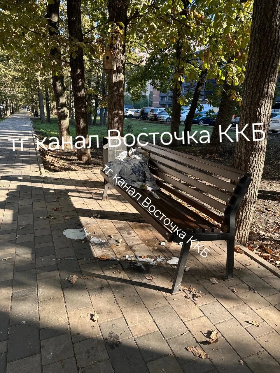 😫 Нам пишут 🗣