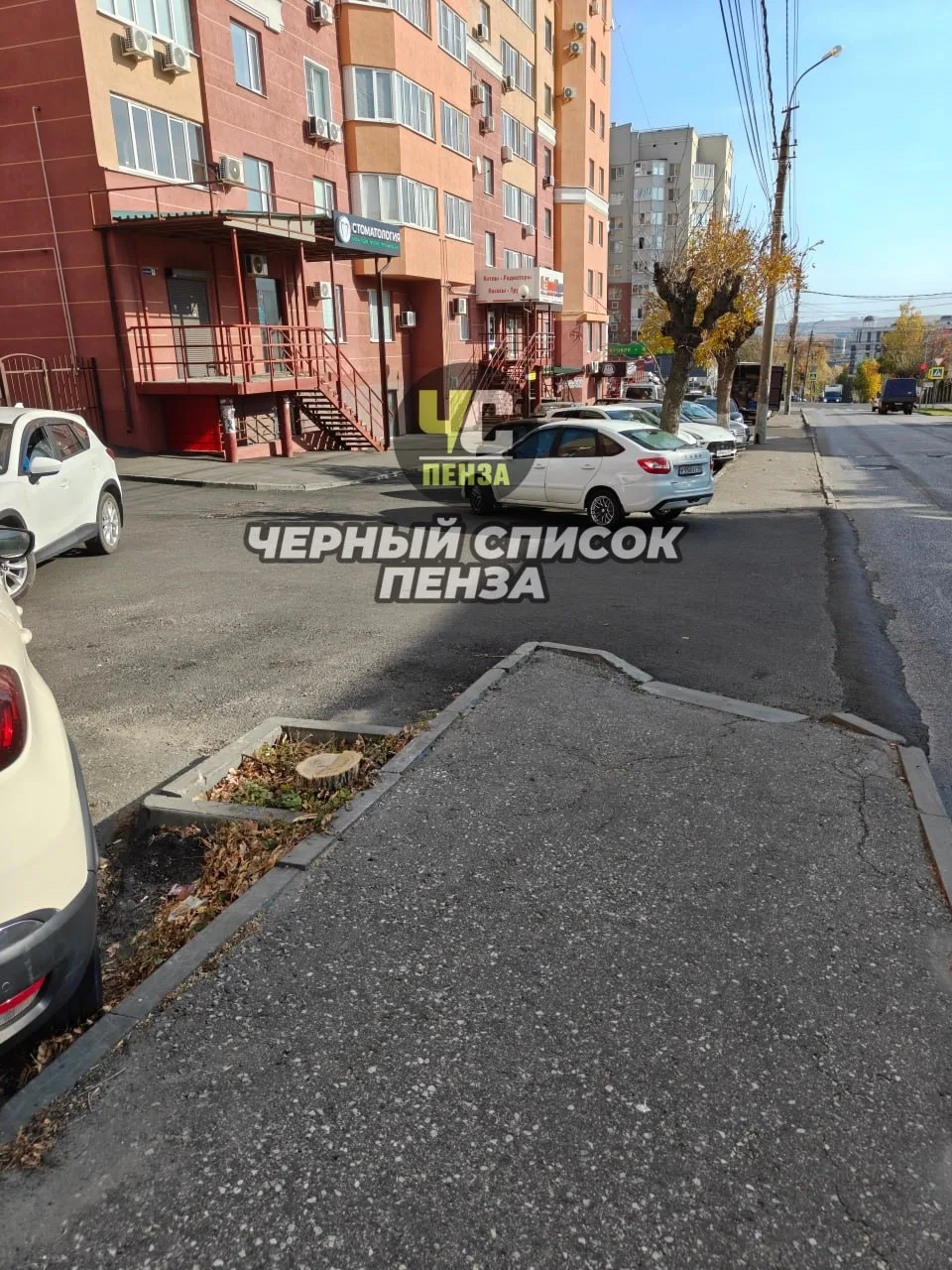 🌳 На Калинина, 9 деревья сначала закатали в асфальт, а потом срубили
