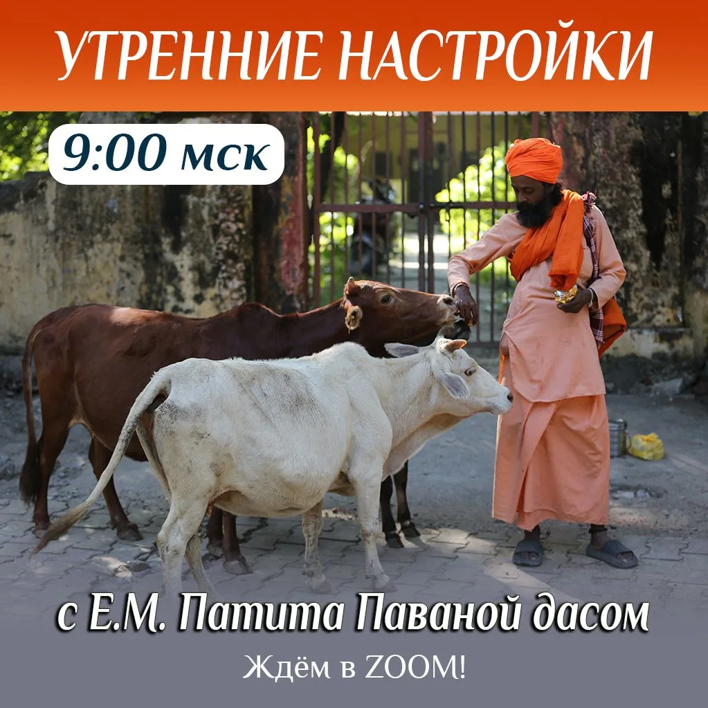 🎊 Утренняя настройка Е.М. Патита Паваны прабху в 9:00 МСК! ⚡️Подключайтесь: https://us...