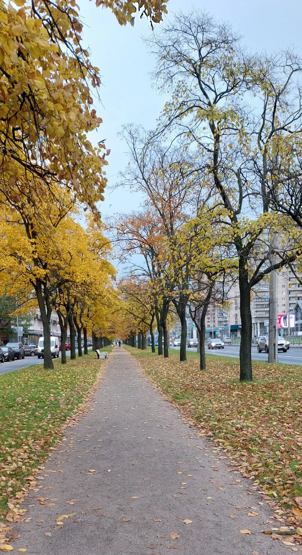 🍂 Октябрьский режим: держаться и искать помощь