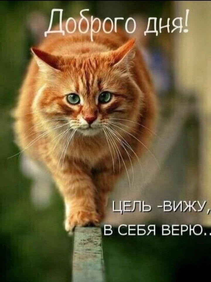 Красивые открытки❤️
