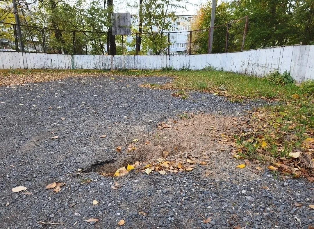 #Вологжане_пишут