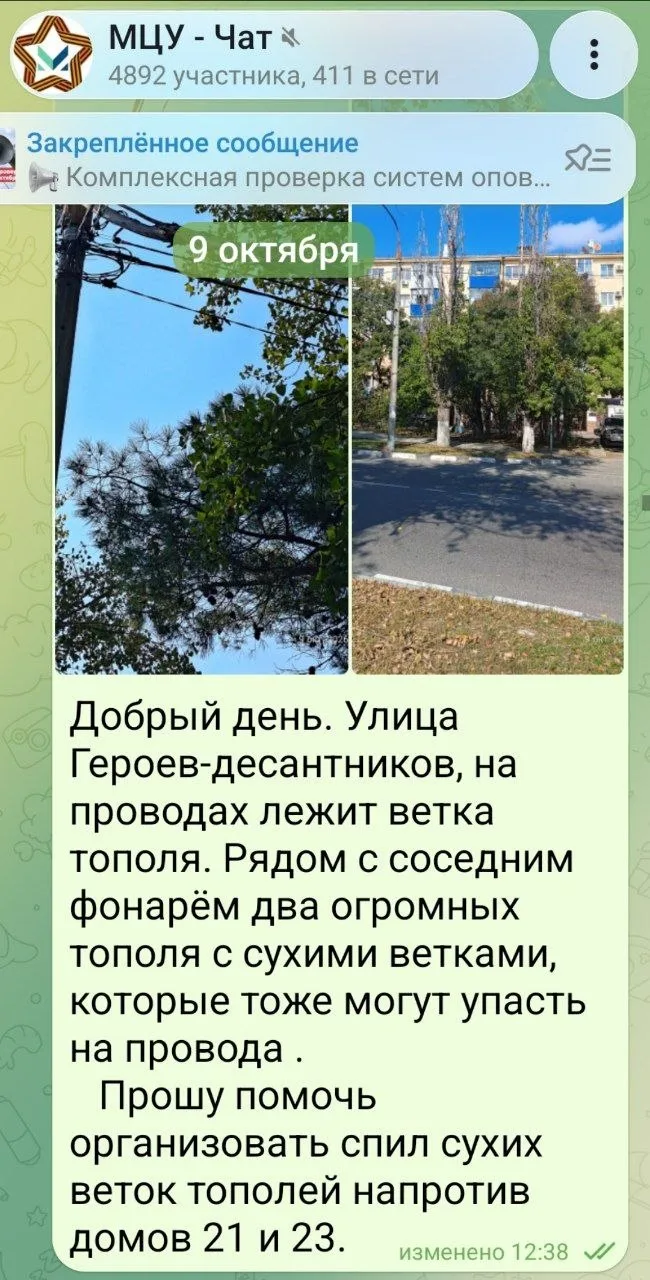 💬 Добрый день. 9 октября я сообщила о сухой ветке, которая лежит на проводах. Сегодня ...