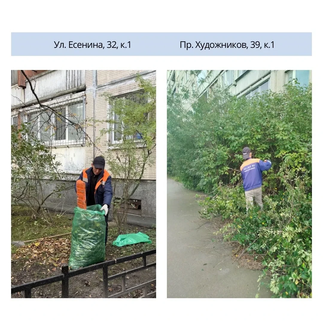 Красочная осень требует внимания и заботы 🍂