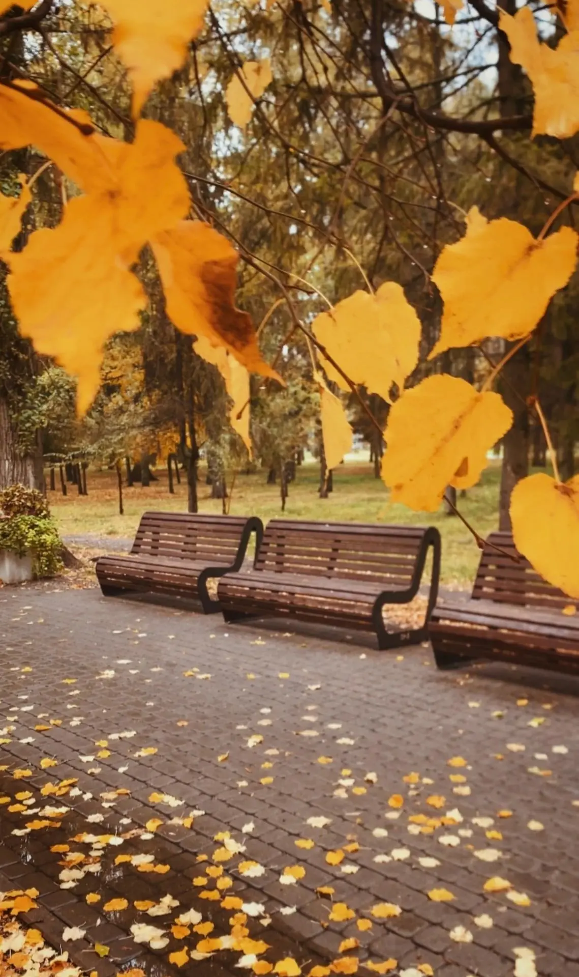 ☔️ В выходные будет тепло, местами ожидаются небольшие дожди
