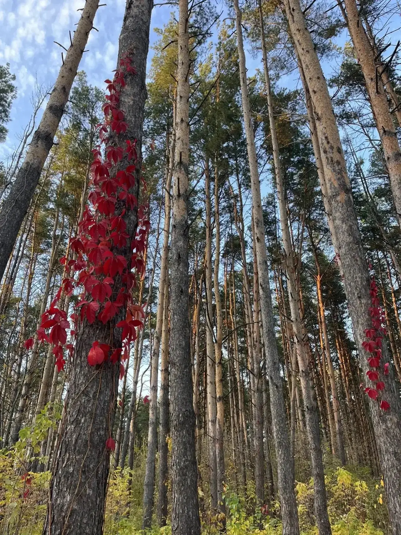 Доброе утро, дорогие подписчики😍