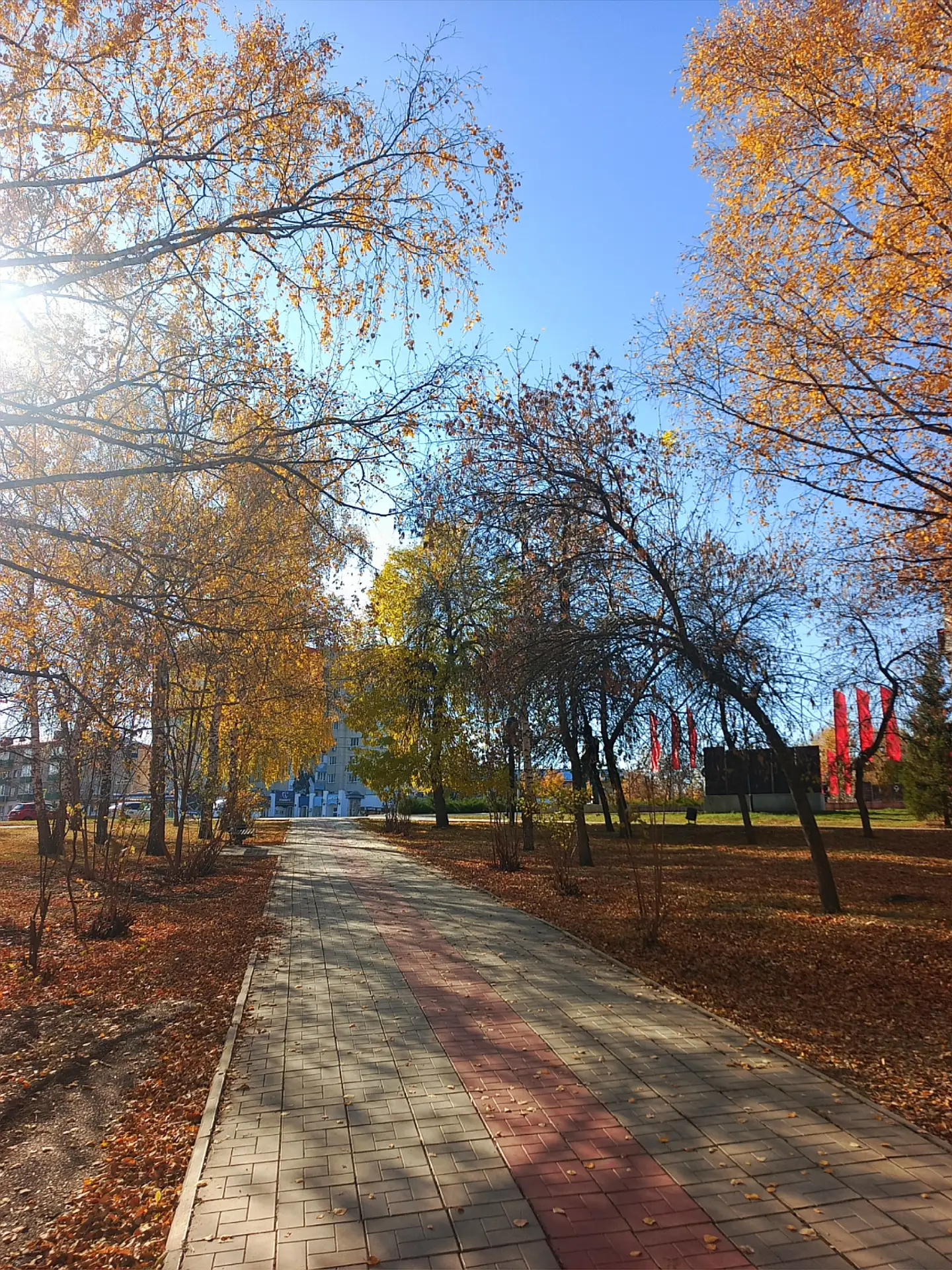 Золотая осень в Кумертау 🍂