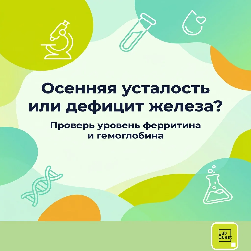 Осенью хочется спать, нет сил, всё валится из рук — и легко списать это на погоду. Но и...
