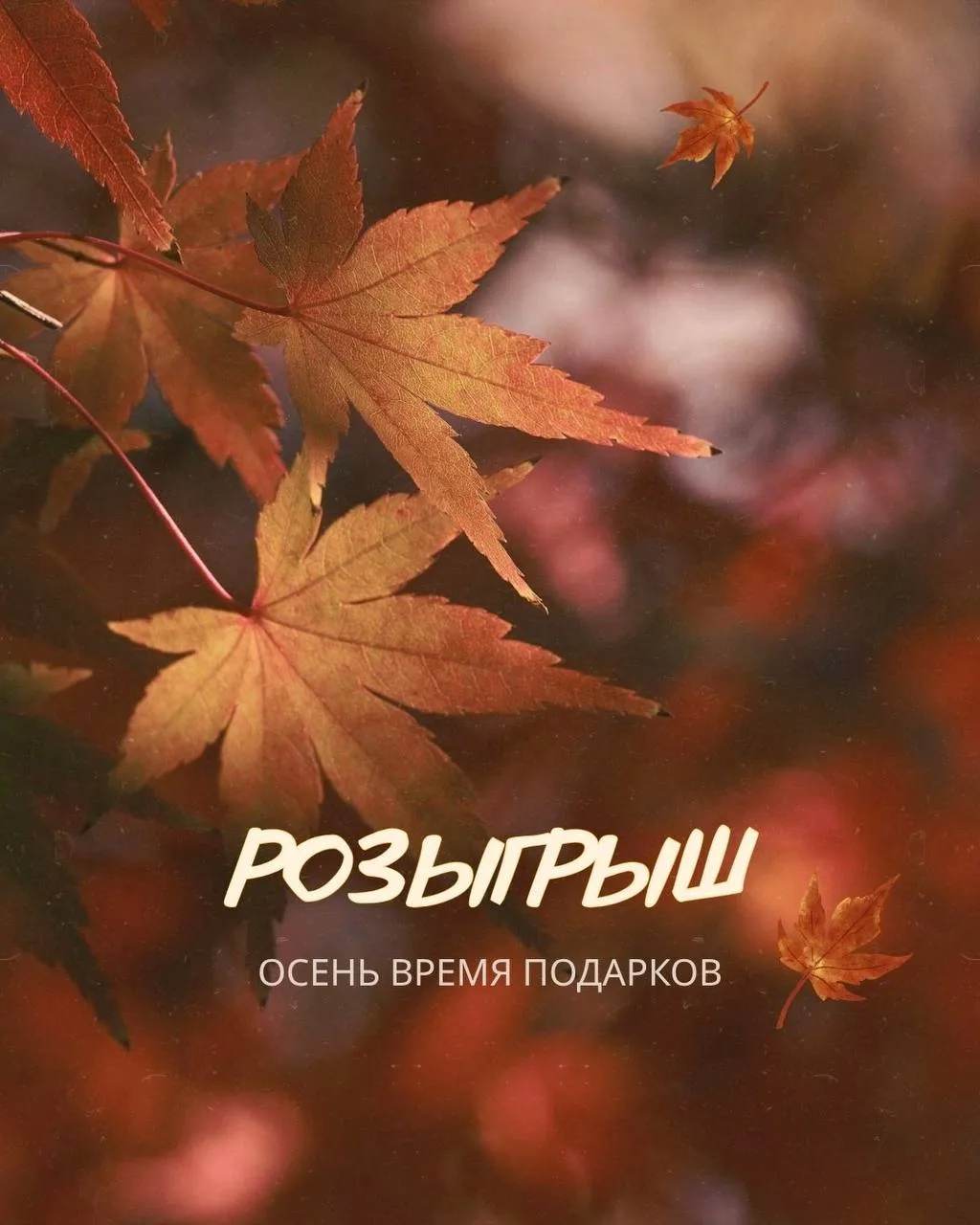 РОЗЫГРЫШ