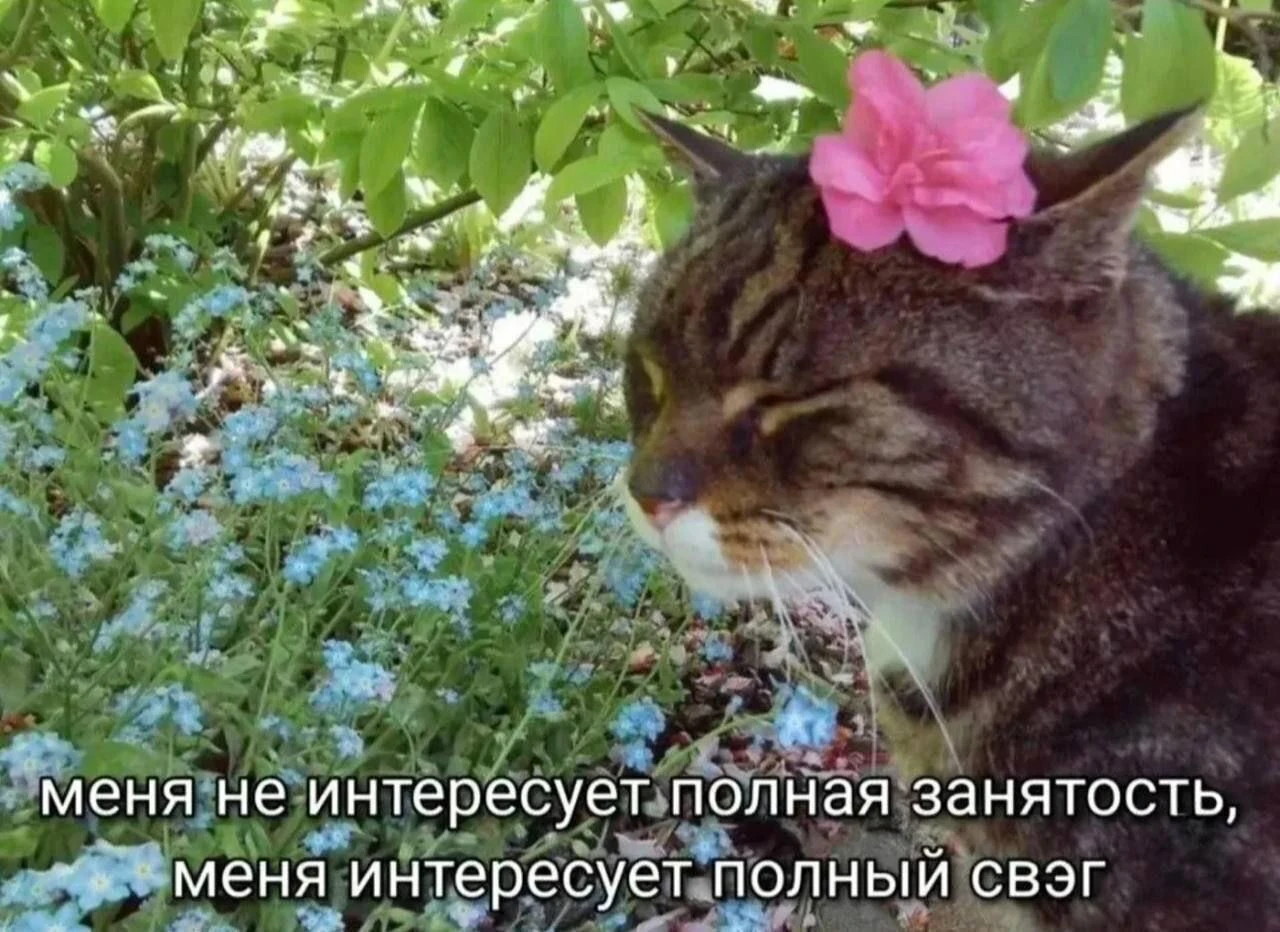 Из Читы могут запустить прямой рейс на Хайнань.