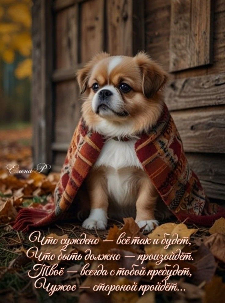 #АГС_Утренний_позитив
