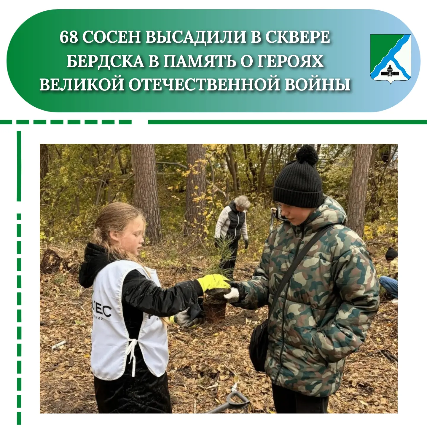 68 сосен высадили в сквере Бердска в память о героях Великой Отечественной войны