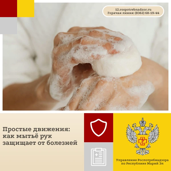 Мытьё рук — одна из самых эффективных и простых мер профилактики инфекционных заболеван...